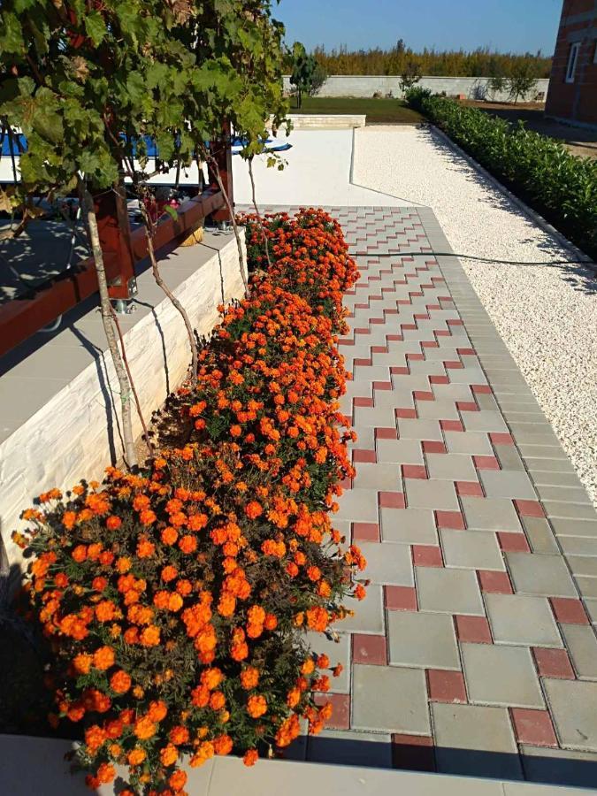 Villa Verbena Mala Cista Стая снимка